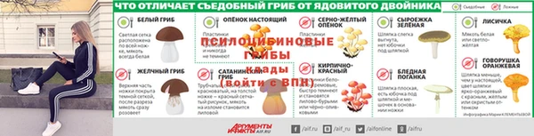 гидропоника Кулебаки
