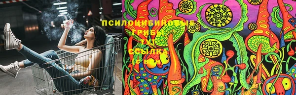 стаф Кукмор