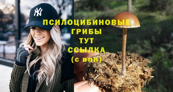 гидропоника Кулебаки